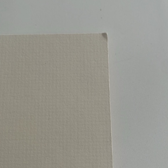 Touch of Purple double matted print by Brent Heighton (irises) 11”h x 14”w - Picture 7 of 14